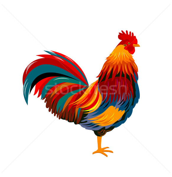 Colorful rooster Stock photo © liolle