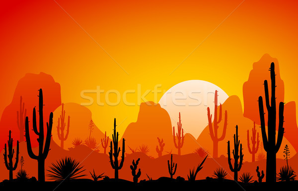 Desert, the sunset Stock photo © liolle