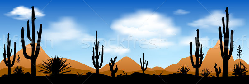 Early morning in the desert Stock photo © liolle