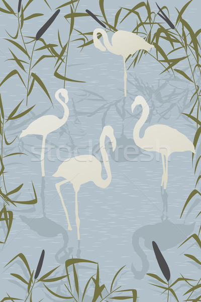 Flamingo scene Stock photo © lirch