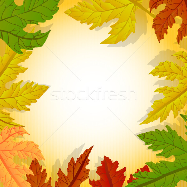 Forest leaves frame Stock photo © lirch