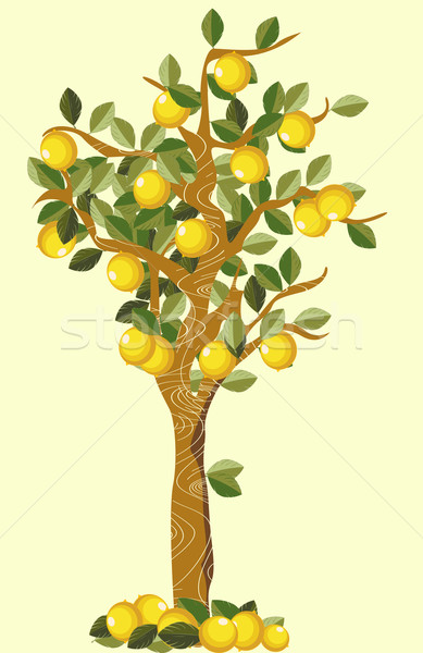 Limonero madera frutas arte otono dibujo Foto stock © lirch