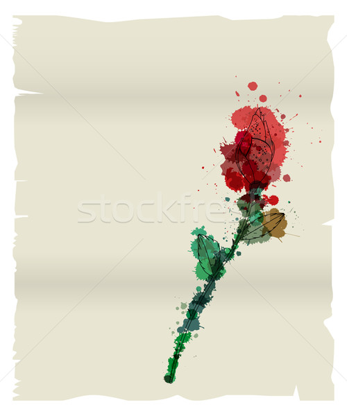 Grunge love letter with young rose Stock photo © lirch