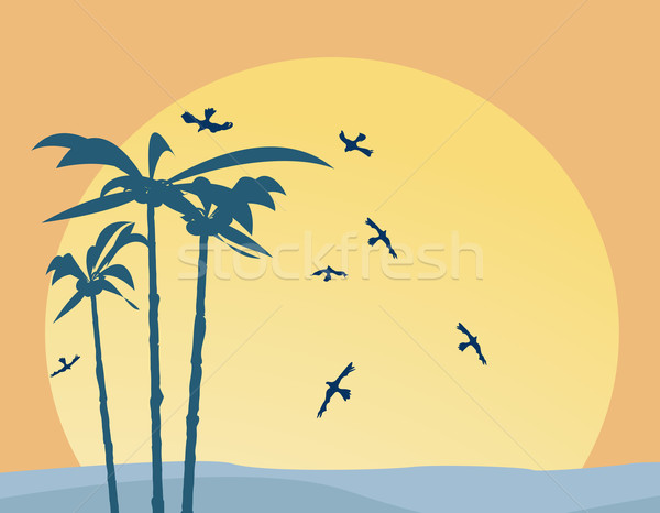 Palm trees Stock photo © lirch