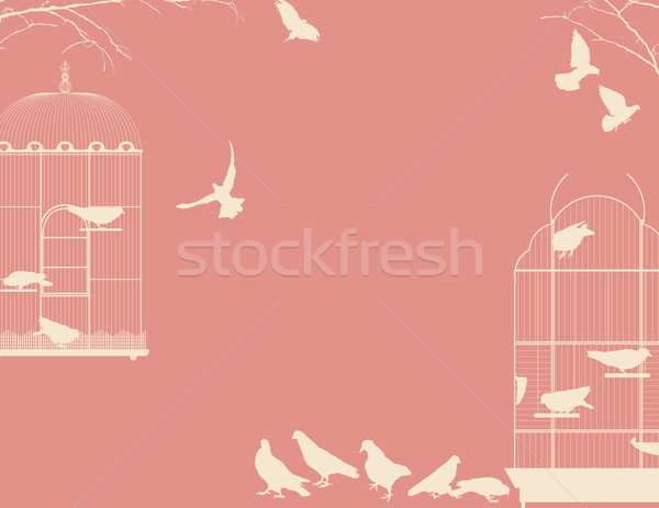 Aves vintage postal diseno cielo grupo Foto stock © lirch