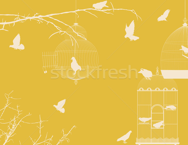 Stock photo: Birds and birdcages vintage background