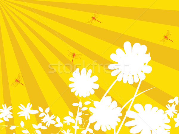 Floral printemps soleil nature art wallpaper Photo stock © lirch