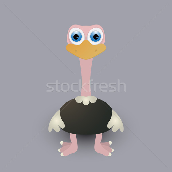 Cute baby ostrich Stock photo © lirch