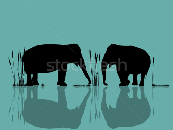 Stock fotó: Elefántok · játszik · víz · illusztráció · vad · égbolt