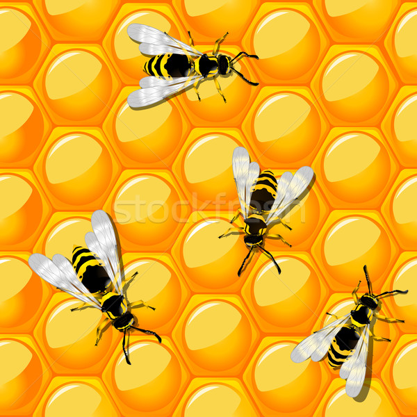 Bees and honeycomb Stock photo © lirch
