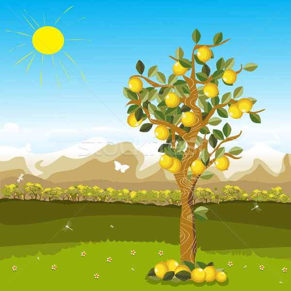 Cartoon ilustración limonero hermosa otono Foto stock © lirch