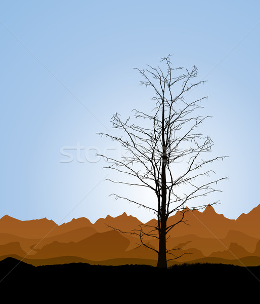 Baumstamm Umwelt toter Baum Silhouette Gras Natur Stock foto © lirch