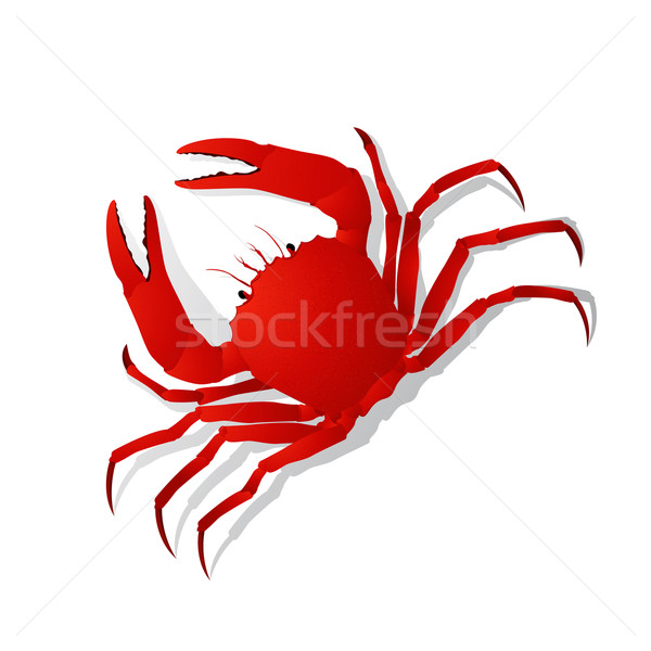 Red crab Stock photo © lirch