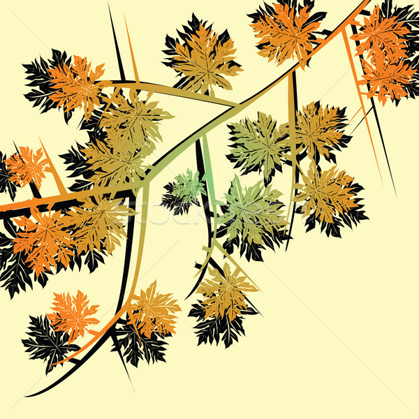 Autumn foliage Stock photo © lirch