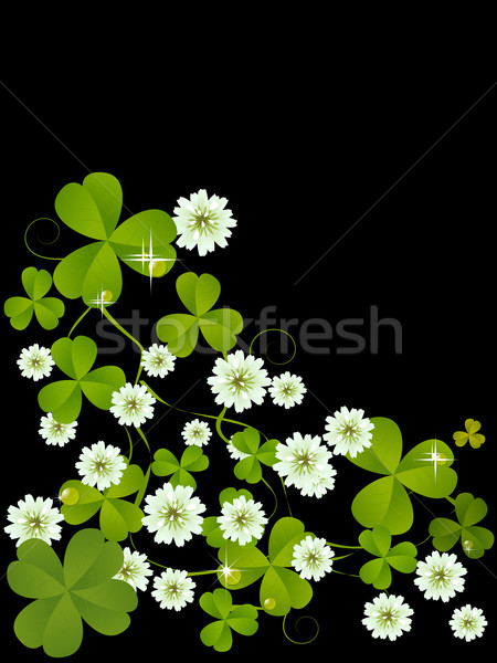 Clover card Stock photo © lirch