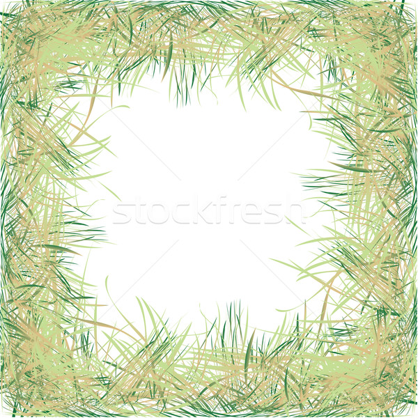 Hierba marco hierba verde blanco primavera resumen Foto stock © lirch