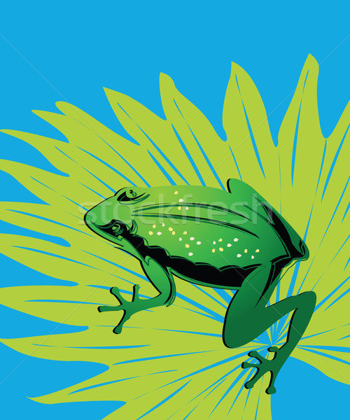 Green frog Stock photo © lirch