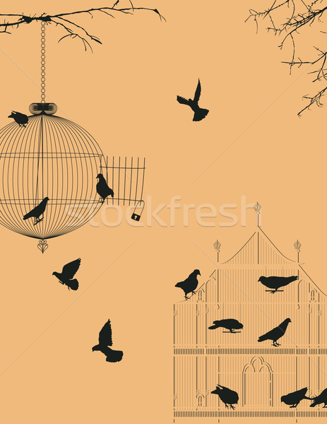 Aves vintage postal diseno cielo grupo Foto stock © lirch