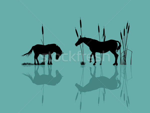 Pferde Wasser romantischen Illustration Familie Licht Stock foto © lirch