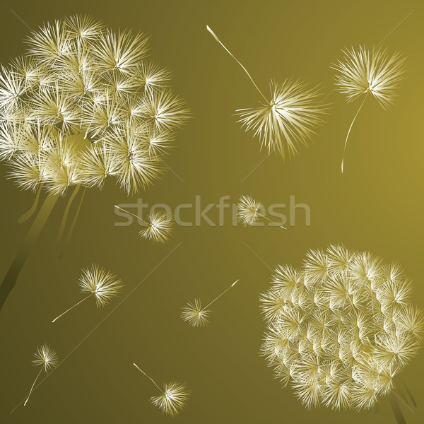 Dientes de león ilustración flor luz diseno belleza Foto stock © lirch