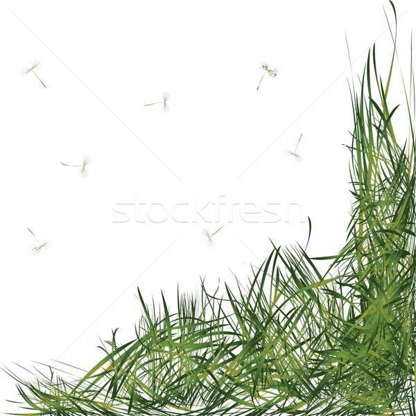 Stock foto: Gras · Blätter · Löwenzahn · Hintergrund · grünen · Wind
