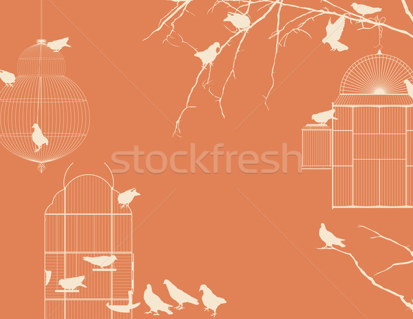 Aves vintage postal diseno cielo grupo Foto stock © lirch