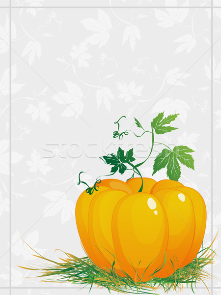 greeting card for Thanksgiving Stock photo © lirch