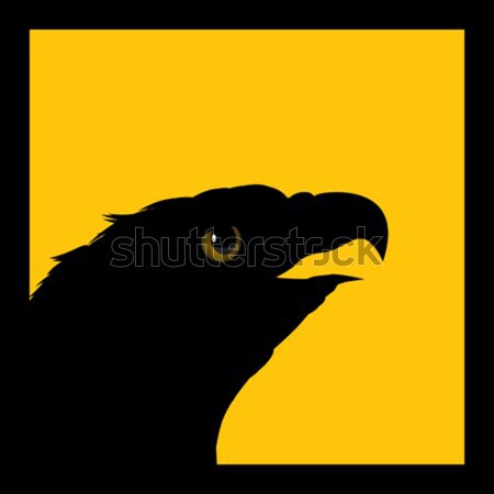 Vultur icoană avertizare simbol natură proiect Imagine de stoc © lirch