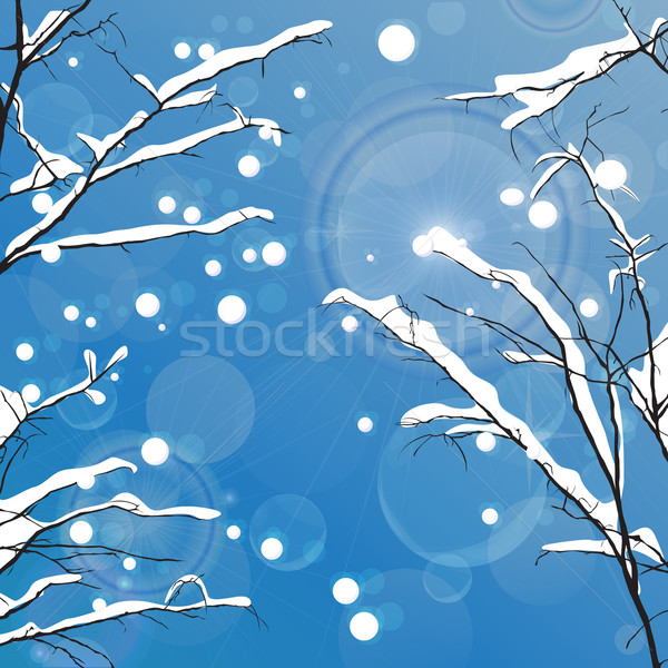 Tél lombtalan fák hatás használt égbolt Stock fotó © lirch