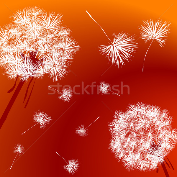 Foto stock: Leão · brilhante · vermelho · natureza · pássaro · paz