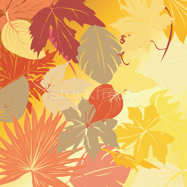 Autumn leaves background Stock photo © lirch