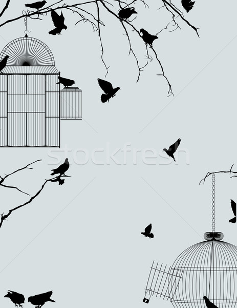 Aves vintage postal diseno cielo grupo Foto stock © lirch