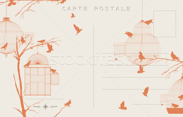 Jahrgang Vögel Postkarte Vogel Himmel Gruppe Stock foto © lirch