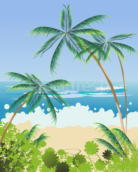 Beach landscape Stock photo © lirch