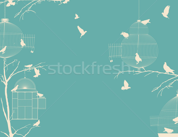 Aves vintage postal diseno cielo grupo Foto stock © lirch