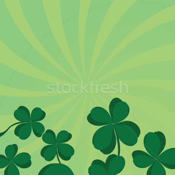 Four leaf clover  Stock photo © lirch
