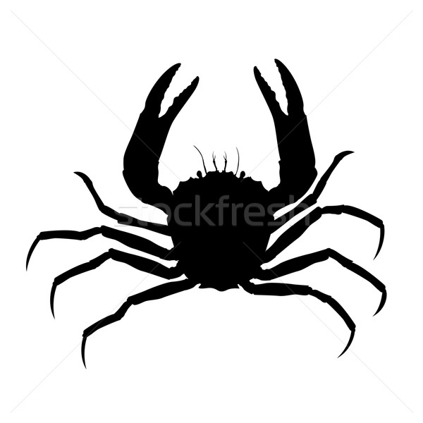 Crab silhouette Stock photo © lirch