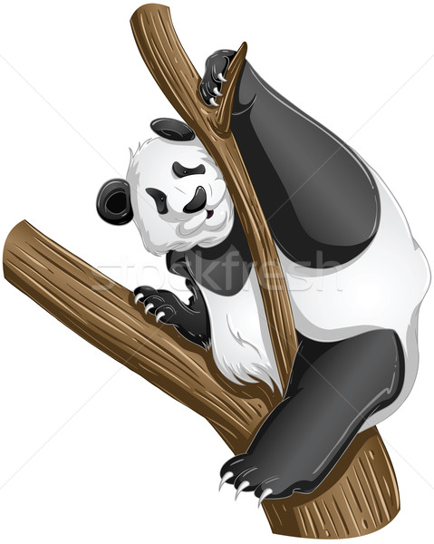 Stock photo: Panda Bear On Tree