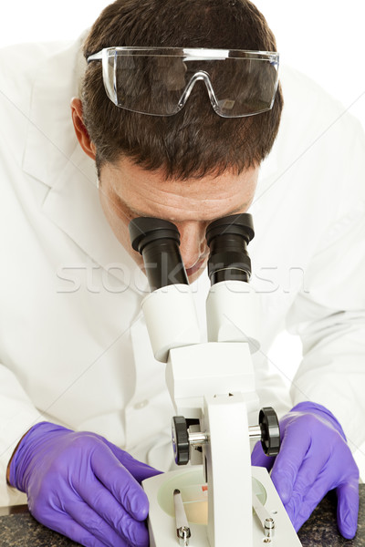 Scientist Looking at Sample Stock photo © lisafx