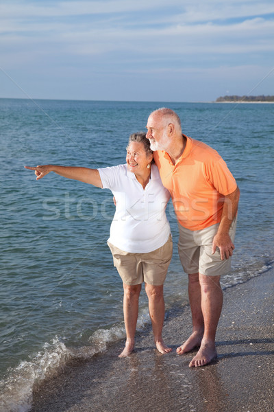 Yaşlılar gezi plaj emekli Stok fotoğraf © lisafx