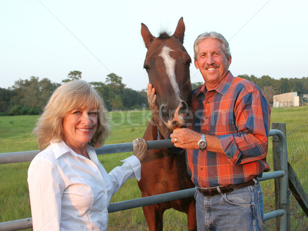 [[stock_photo]]: Couple · cheval · élégant · ferme · posant · favori