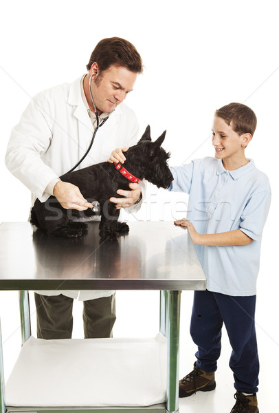 Dog and Boy at Vet Stock photo © lisafx