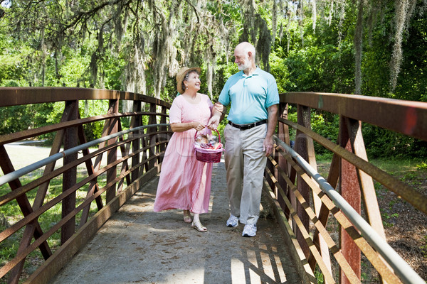 Vacaciones picnic hermosa pareja de ancianos cesta de picnic Foto stock © lisafx