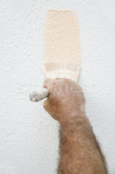 Painter's Hand with Brush Stock photo © lisafx