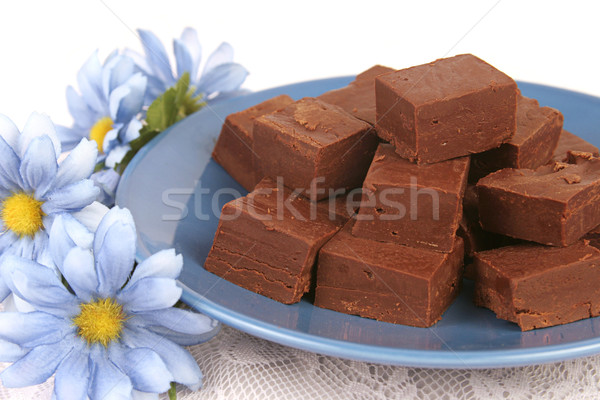 Plate of Fudge 1 Stock photo © lisafx