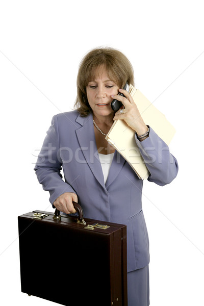Businesswoman - Stressed & Frustrated Stock photo © lisafx