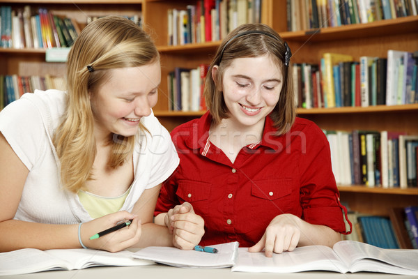 Stock photo: Teen Girls - Homework Fun