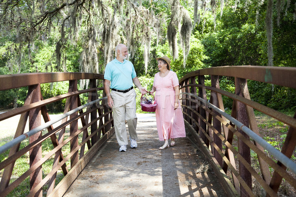 Seniors Strolling in Park Stock photo © lisafx