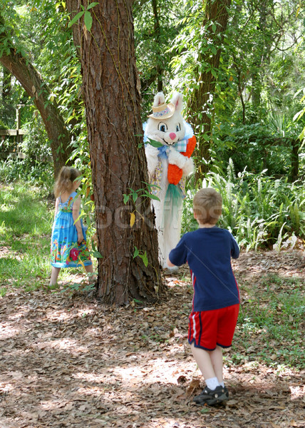 Easter Bunny Hide & Seek Stock photo © lisafx