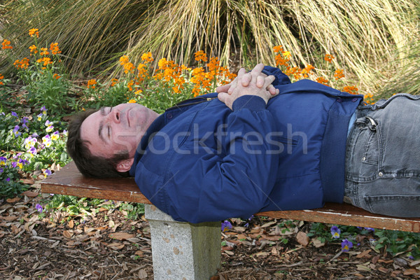 庭園 男 寝 ベンチ 男性 ストックフォト © lisafx
